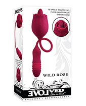 Evolved Wild Rose Sale