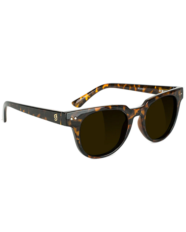 Glassy Sunglasses - Lox Premium Polarized - Tortoise Online now