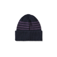 Polar Skate Co. - Stripe Merino Beanie - Navy   Purple Supply