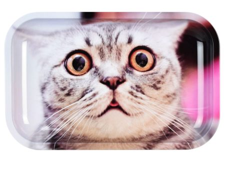 Pulsar Metal Rolling Tray | Stoned Cat | 11  x 7  Online Hot Sale