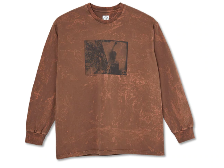 Polar Skate Co - Leaves and Windows Longsleeve T-shirt - Rust Online Hot Sale