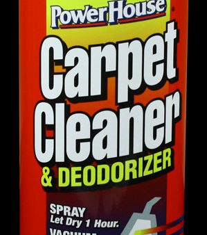 Carpet Cleaner Safe Can For Cheap