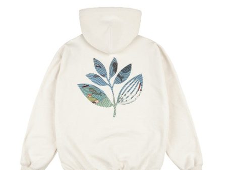 Magenta Skateboards - Sea Plant Hoodie - Natural Supply