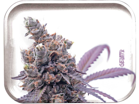 Pulsar Metal Rolling Tray - 11 x7  | Gelato For Sale