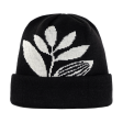 Magenta Skateboards - Plantasia Knit Beanie - Black Online