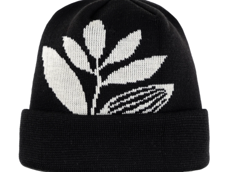 Magenta Skateboards - Plantasia Knit Beanie - Black Online