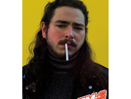 Post Malone Poster - 24 x36  For Cheap