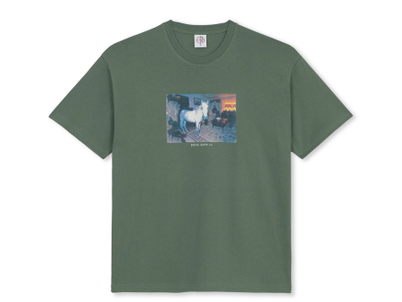 Polar Skate Co -  Horse Dream T-Shirt - Jade Online now