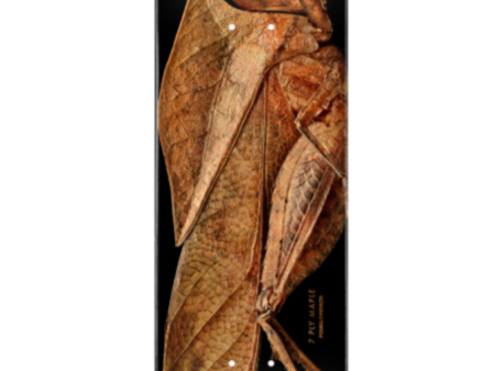 Powell Peralta Skateboards- Biss Leaf Deck Online Hot Sale