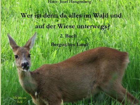 Wer ist denn da alles im Wald und auf der Wiese unterwegs? 3 - 5 Jahre Discount